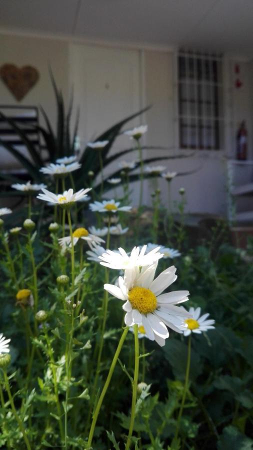 Country Lane Guesthouse Howick Exteriér fotografie